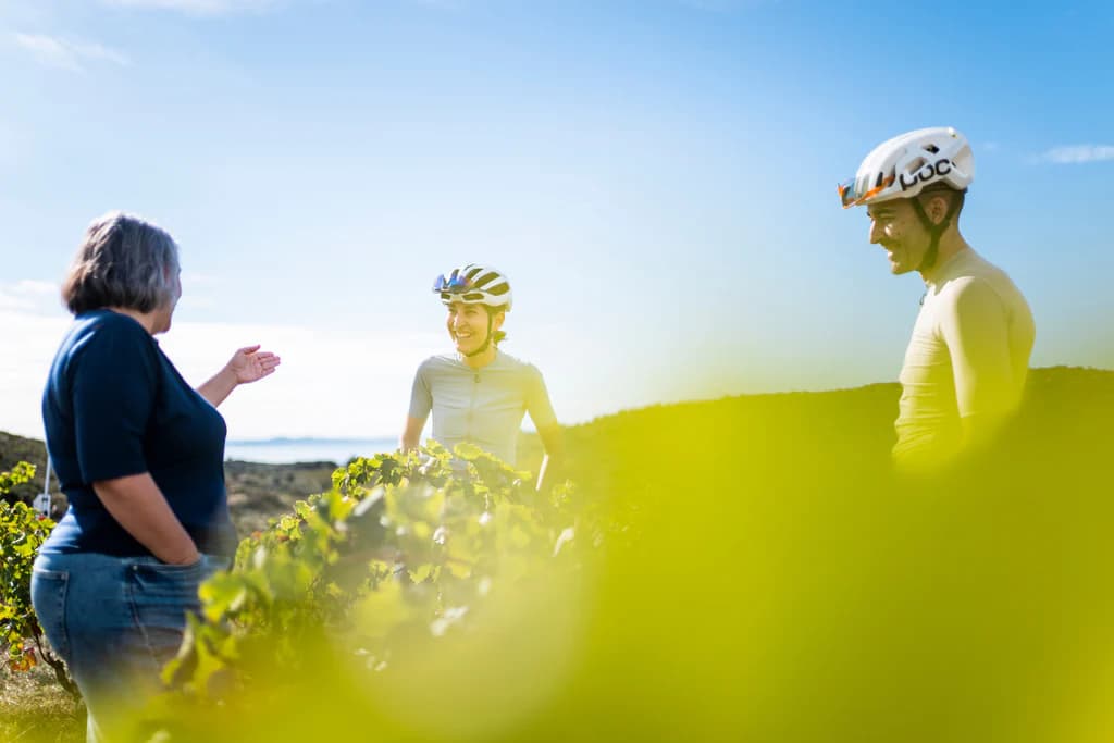 Cyclists on a gravel road in Empordà
